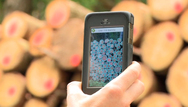 Enormes Einsparpotential: Eine neue App z&auml;hlt und misst Holz f&uuml;r den Verkauf