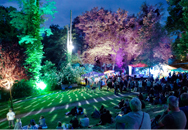 Wallungen 2013