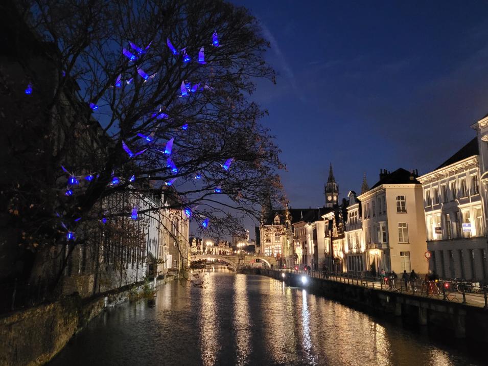 Gnet mit weihnachtlicher Beleuchtung